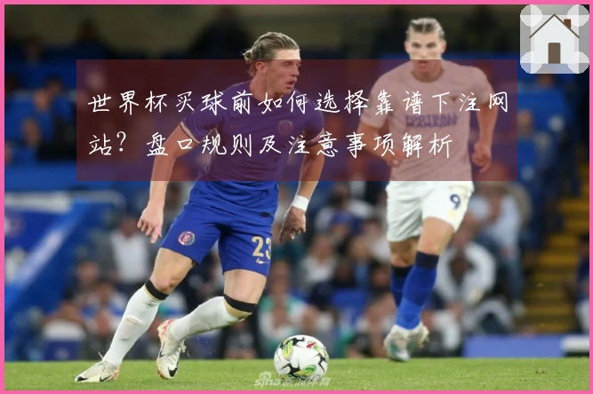 世界杯买球前如何选择靠谱下注网站？盘口规则及注意事项解析