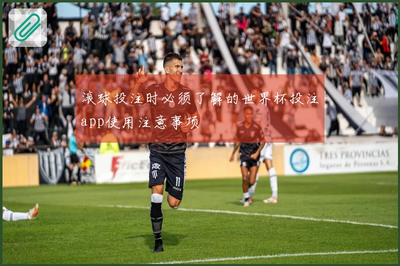 滚球投注时必须了解的世界杯投注app使用注意事项
